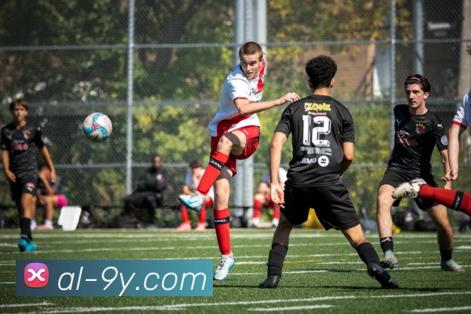 九游官网服务体系